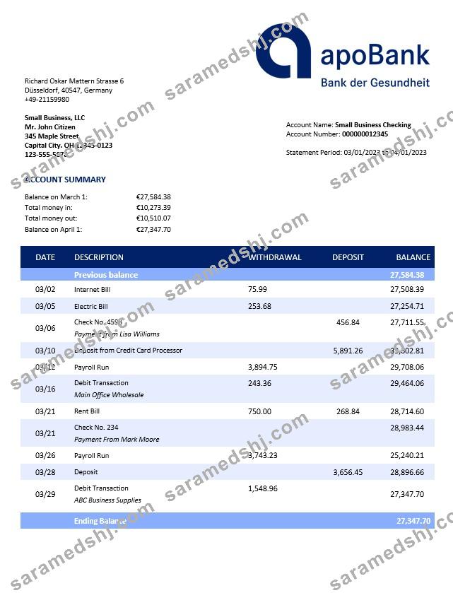 Apobank enterprise account statement Word and PDF template